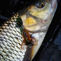 Savage Gear 3D Cicada Lures 3.3cm/3.5g